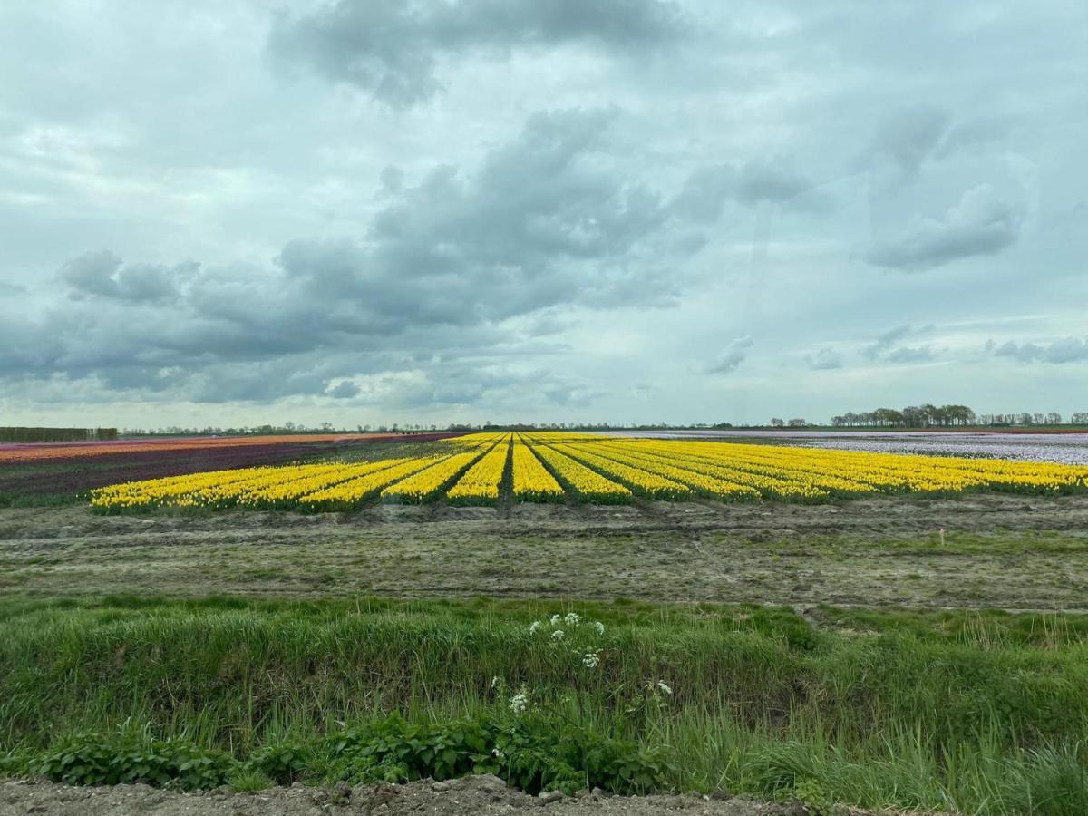 Villa Krabbenkreek 2 Sint Annaland Esterno foto