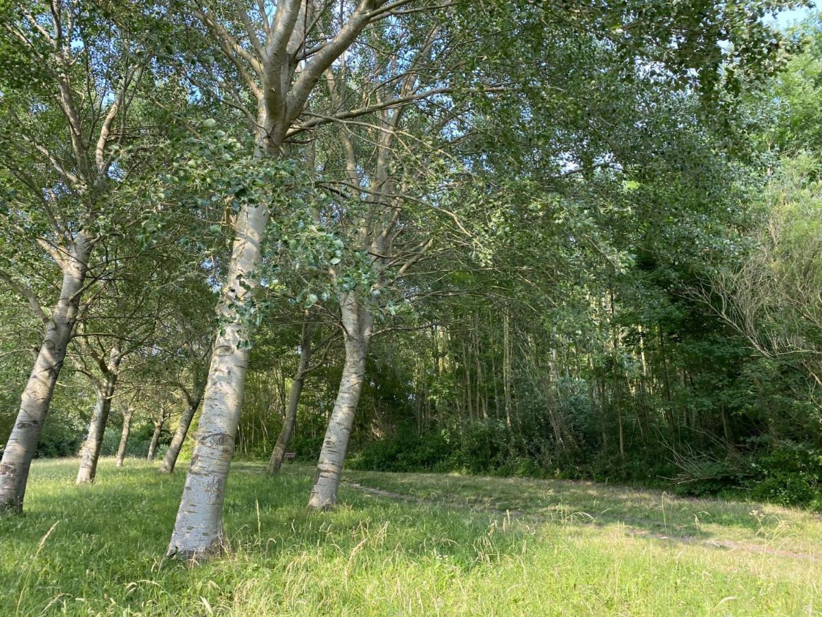 Villa Krabbenkreek 2 Sint Annaland Esterno foto