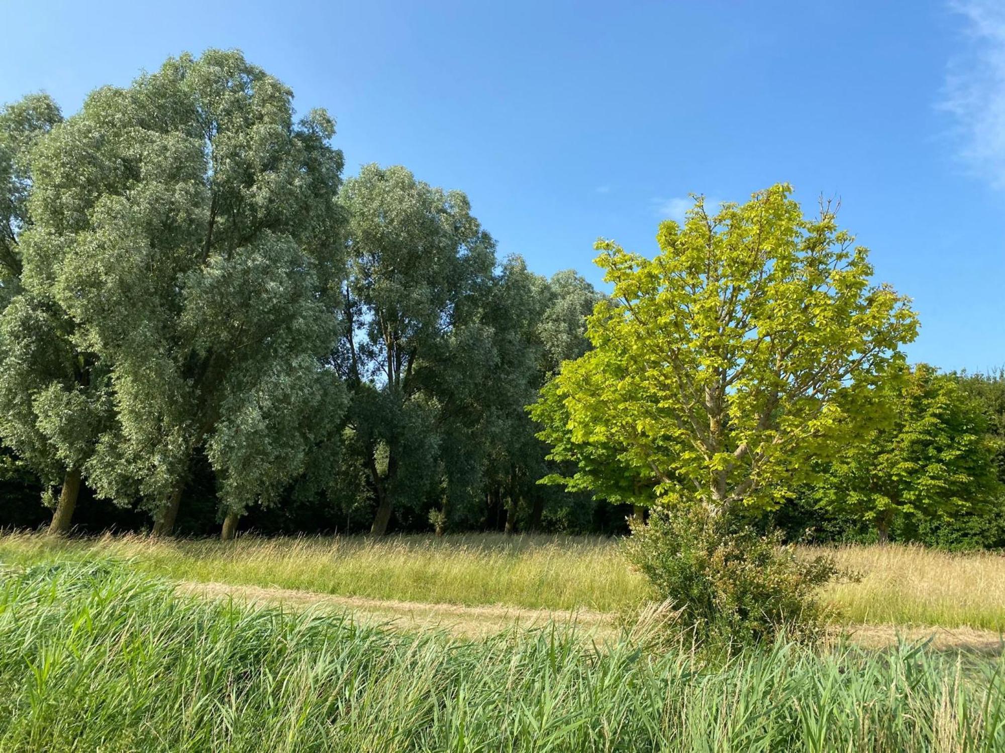 Villa Krabbenkreek 2 Sint Annaland Esterno foto