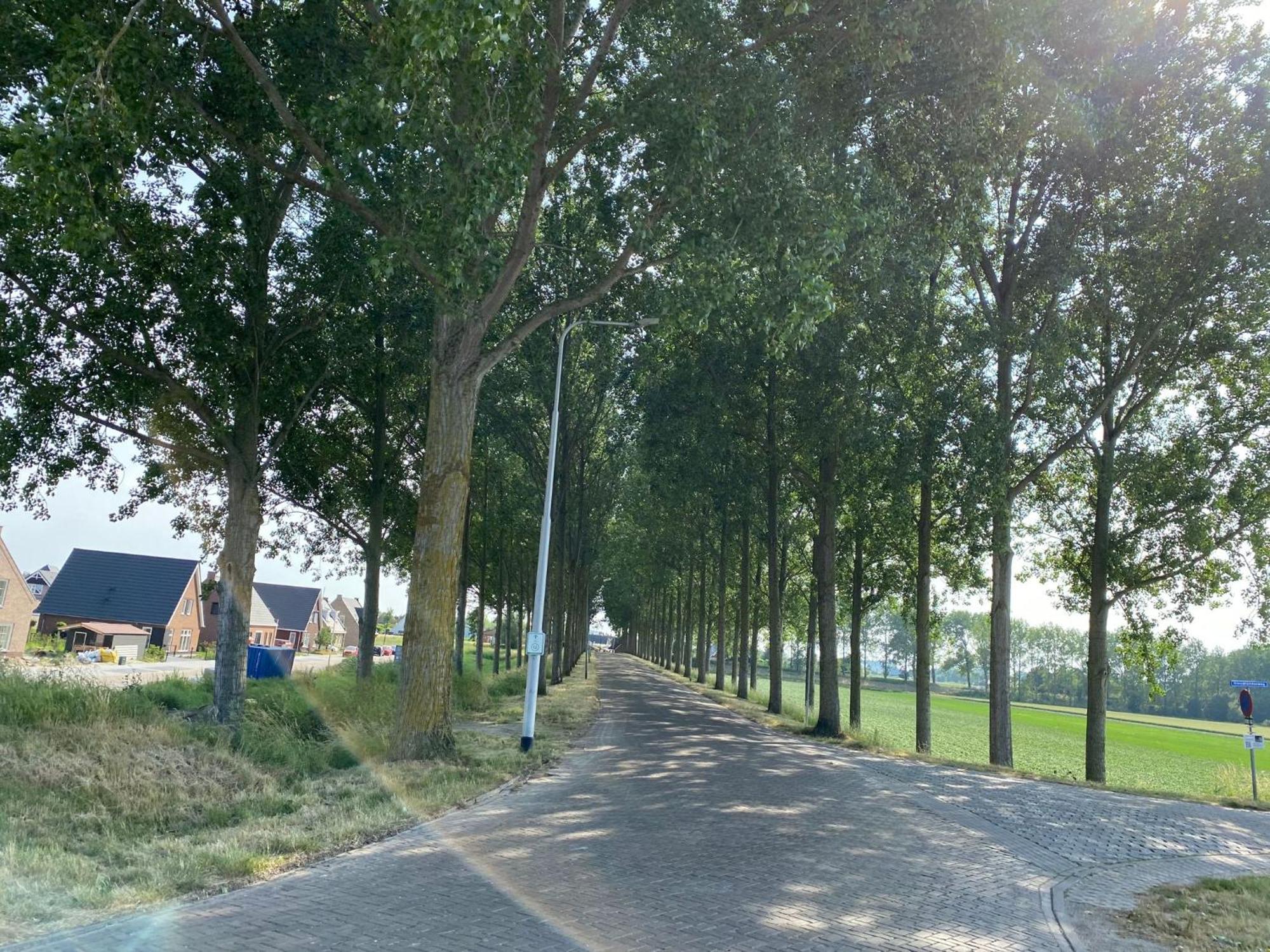 Villa Krabbenkreek 2 Sint Annaland Esterno foto