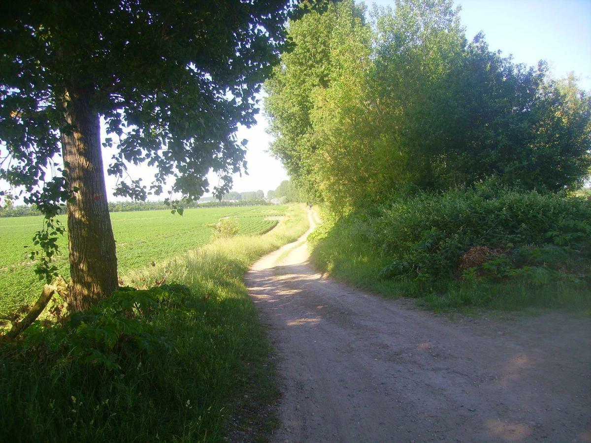 Villa Krabbenkreek 2 Sint Annaland Esterno foto
